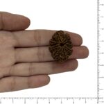 Image thumbnail
