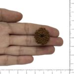 Image thumbnail