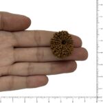 Image thumbnail