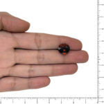 Image thumbnail