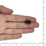 Image thumbnail