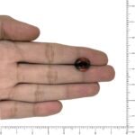 Image thumbnail