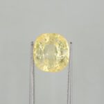 Image thumbnail
