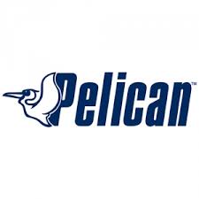 Pelican International Inc