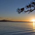 Nzthefirstlight rangitoto