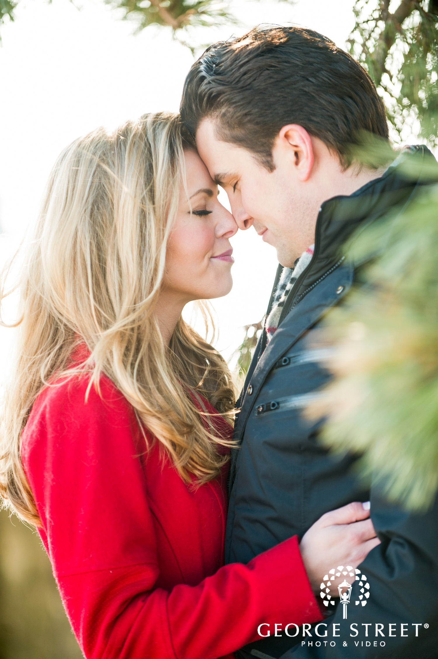 winter pine trees engagement photography