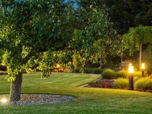 Local Outdoor Lighting Company with Industry Experience