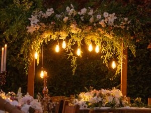Year-Round Holiday Lighting Solutions for Georgetown Homes