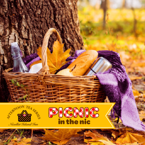 Minneapolis Tix Picnic in the Nic Afternoon Tea