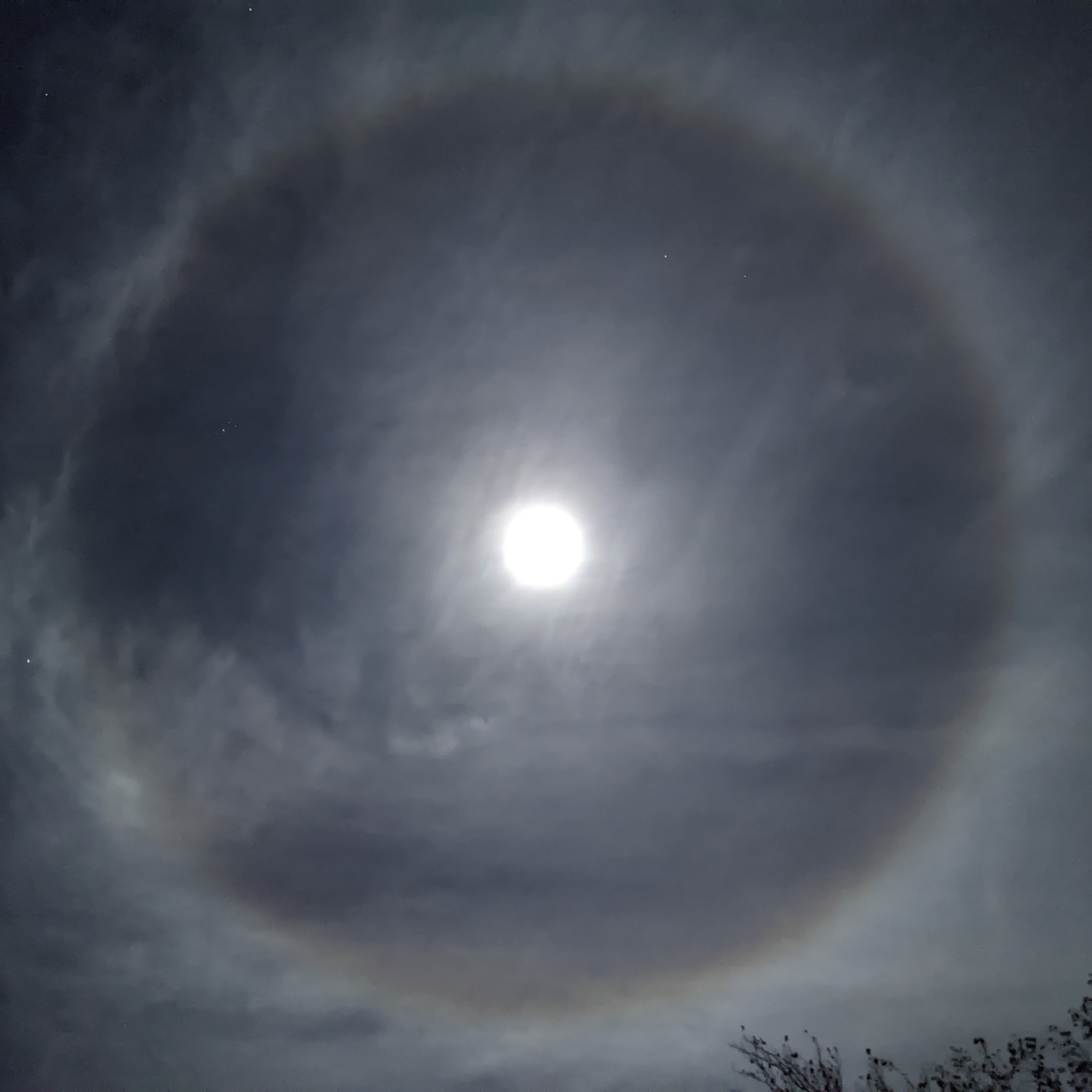Fourth Moon Camp – Upcoming Events