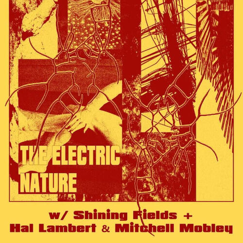 The Electric Nature Shining Fields Hal Lambert Evvnt Events