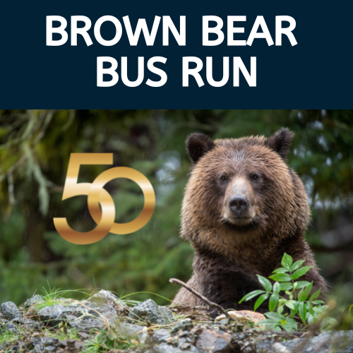 MyAlaskaTix Brown Bear Bus Run MyAlaskaTix Brown Bear Bus Run