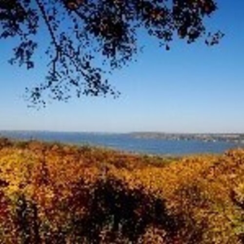 309Tix Grandview Drive Walking Tour