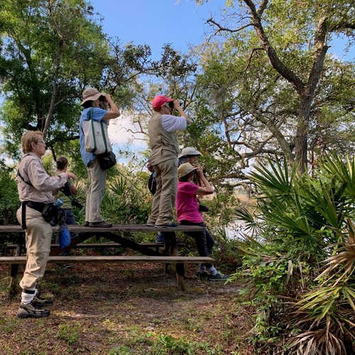 904TIX NFLT's Naturalist Tour of Bogey Creek Preserve
