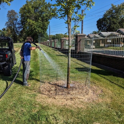 Crown Hill Foundation – Caring for your Trees: Pruning and Landscape ...