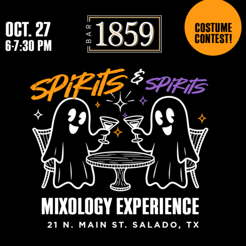 Spirits & Spirits Mixology Experience