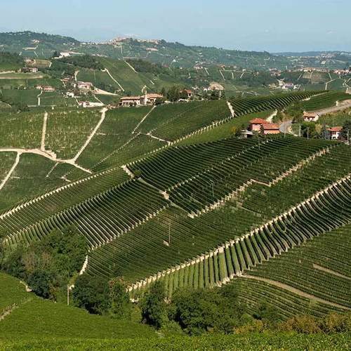 MyNorthTickets Pio Cesare Wine Dinner & Feast of Saint Valentine at