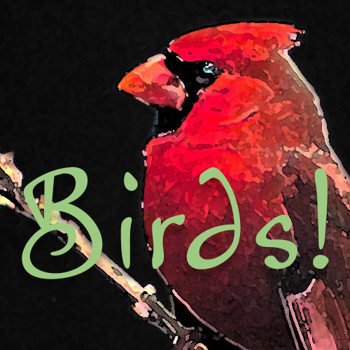 Seven Days Tickets Burlington Choral Society Concert Birds, Byrd