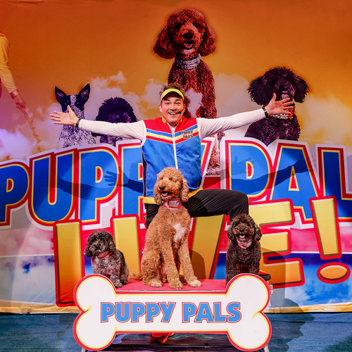 テレビ puppy Puppy Pals, LIVE! – Paramount Theatre – Goldsboro, NC
