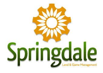 SpringdaleDisclogo.jpg