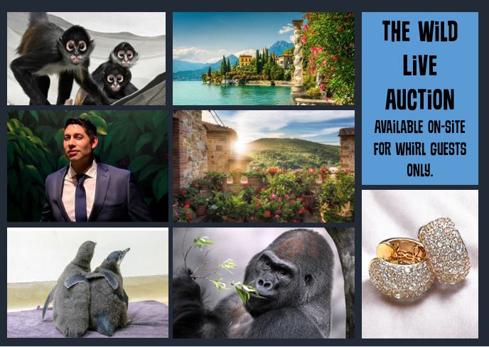 Live Auction Listing.JPG Live Auction Items