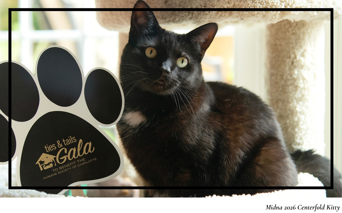 18x24-2026-Gala-Signage.jpg Centerfold kitty featured on the 2026 Ties & Tails Gala signage