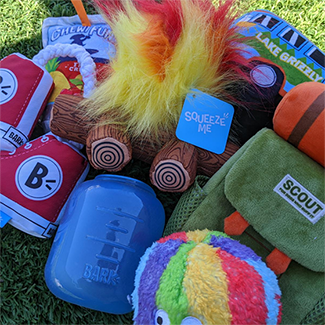 bark toys summer dog pack