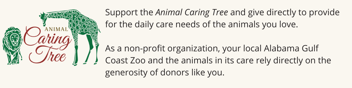 Copy of Copy of Copy of Copy of DONATE TO THE ZOO TO MAKE OUR WISHES COME TRUE (2).png