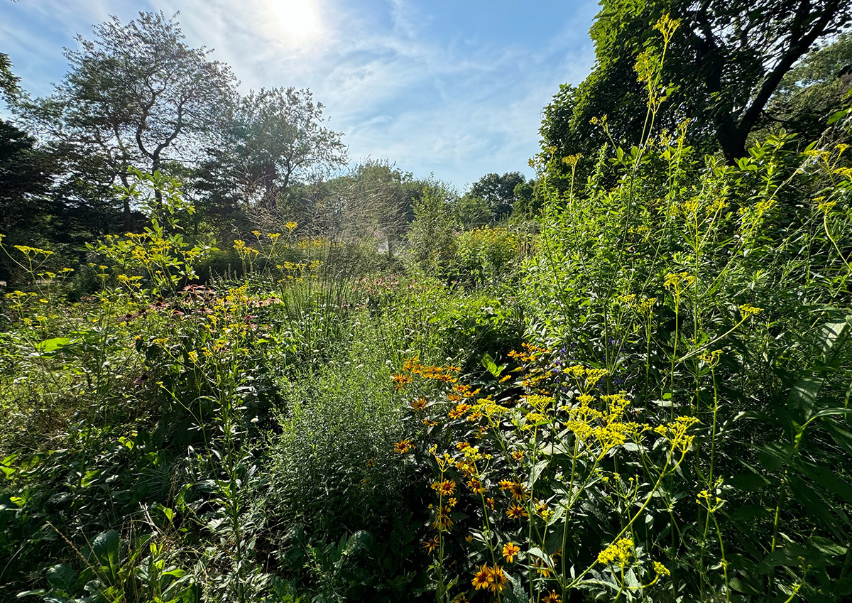 PRFCT summer garden