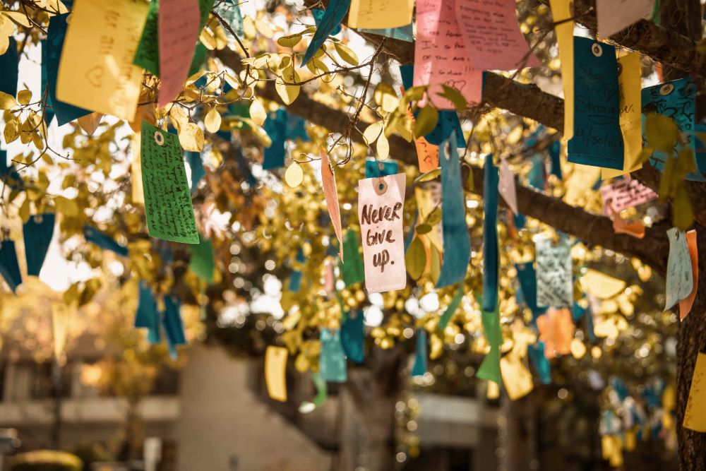 WishingTree_113018_ 2.jpg