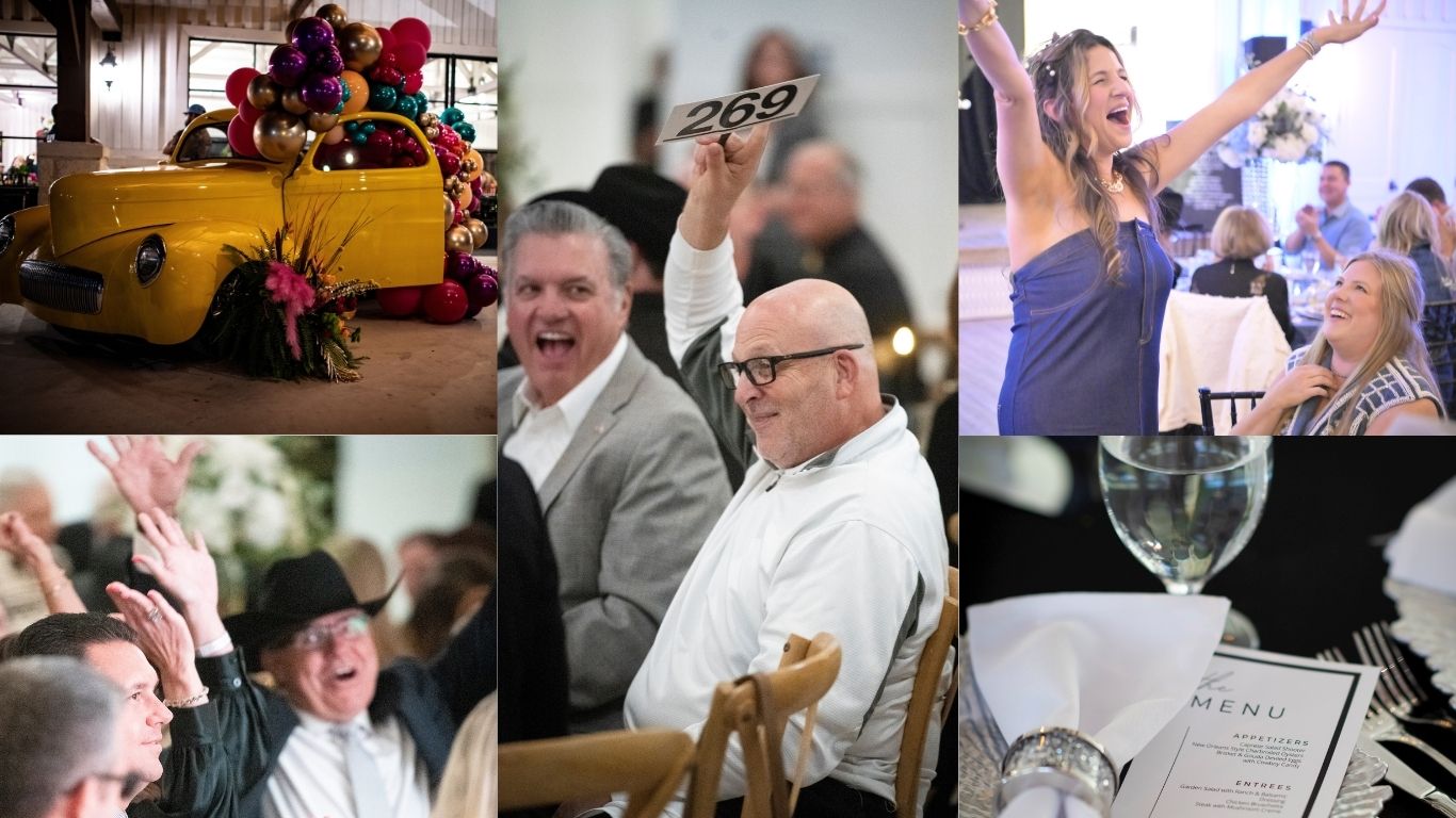 BB - Website image.jpg