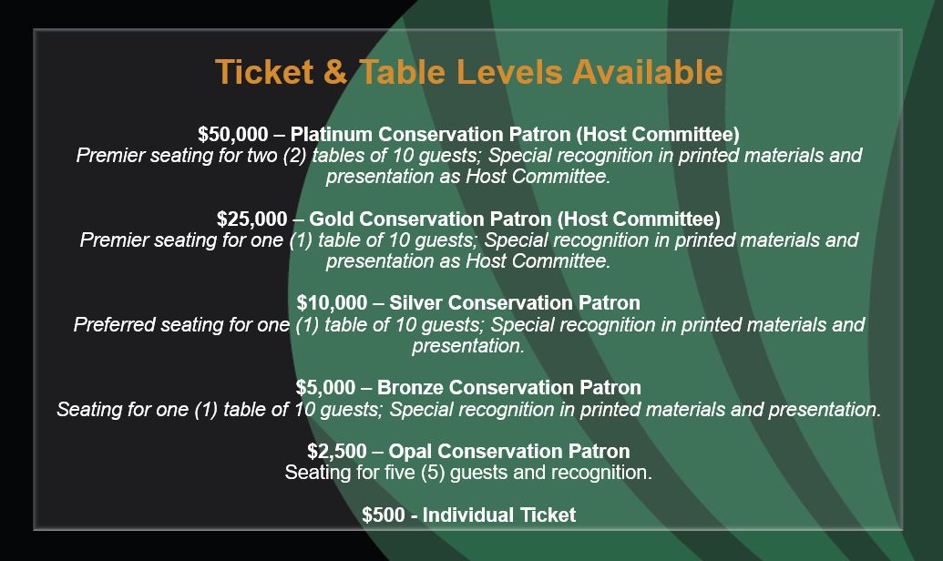 CLAD ticket levels.JPG