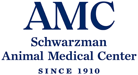 SchwarzmanAMC_Logo_442pxW (honoree).jpg