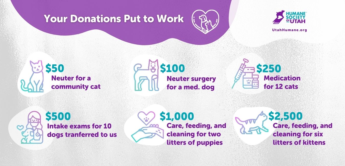 infographic showing cost of care