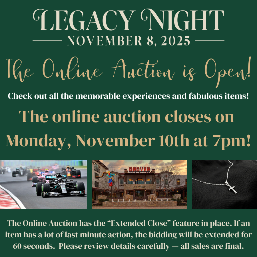 Online Auction OPEN (2).png