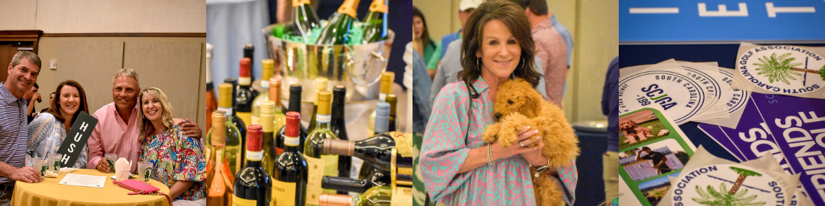 golf ball banner givesmart (1).png