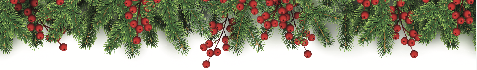 pine needles and berries