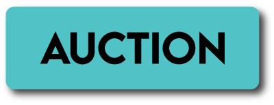 Silent Auction