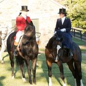 Wheatland Gala