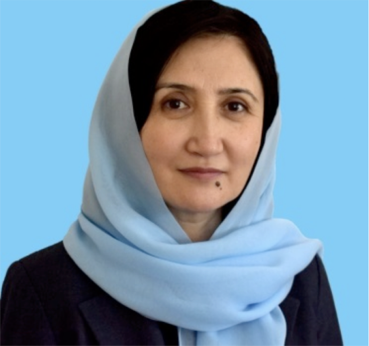 Madina Qasimi, Deputy Chief of Mission at the Afghan Embassy