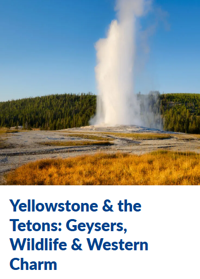 Yellowstone National Park getaway