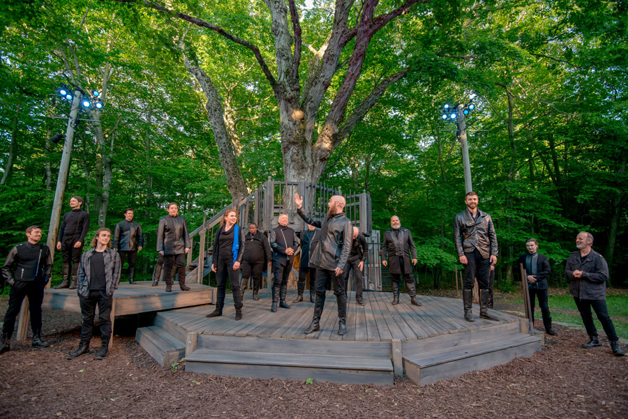 Scott McKenna Campell and Company, Henry V Curtain Call, photo by Heidi Hodges