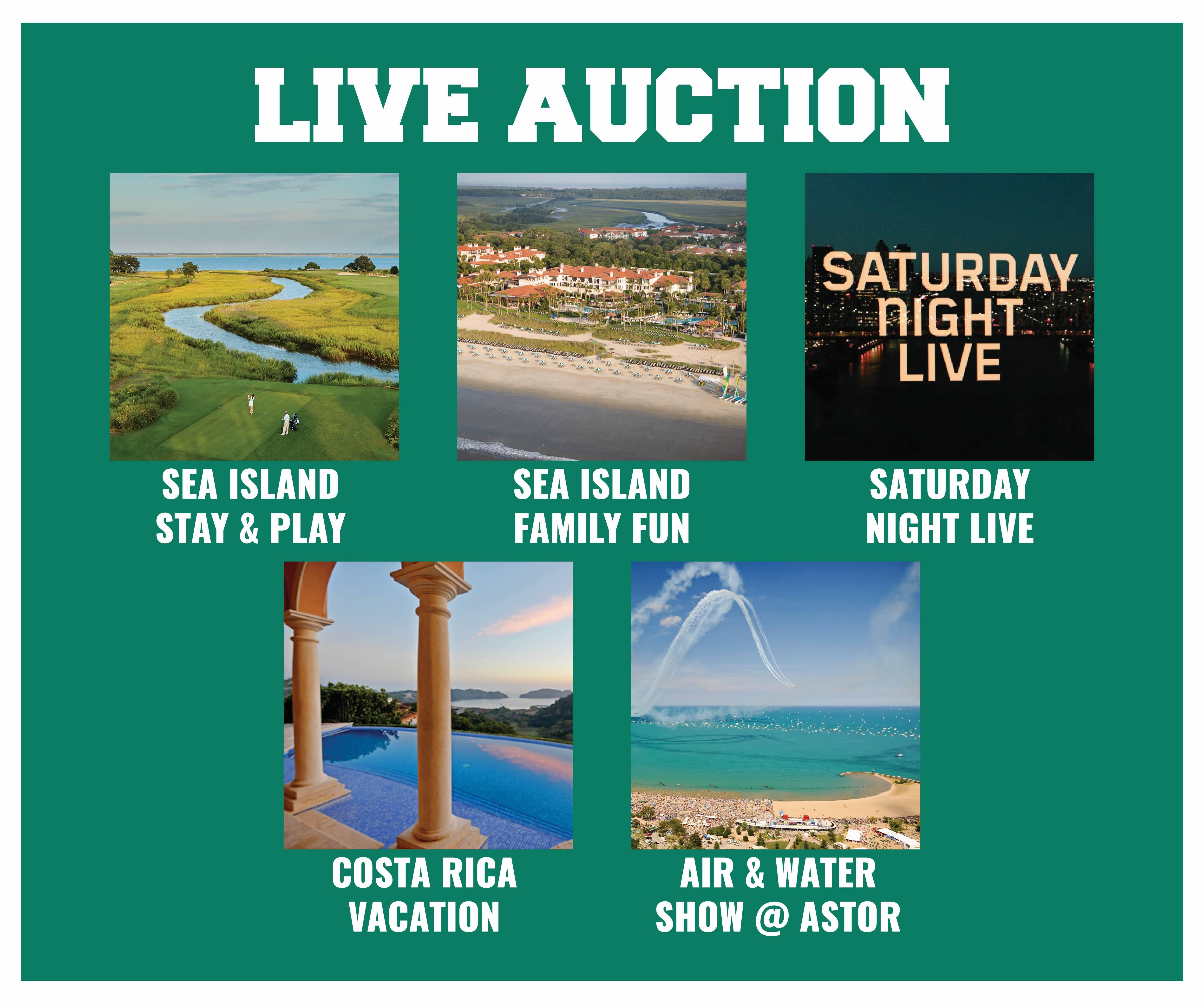 live auction givesmart graphic .jpg