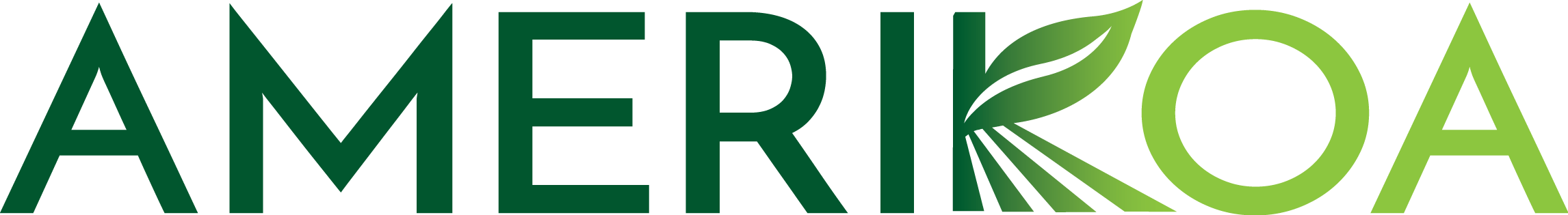 Amerikoa-logo.png