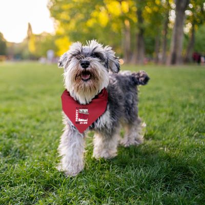 DogBandana.jpg