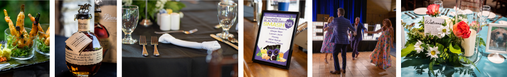 Scenes from the Summer Gala Scenes from the Summer Gala