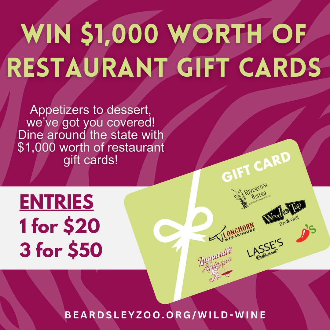 WW 2025 Social Graphics (7).png