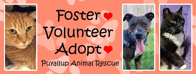 https://www.facebook.com/PuyallupAnimalRescue/