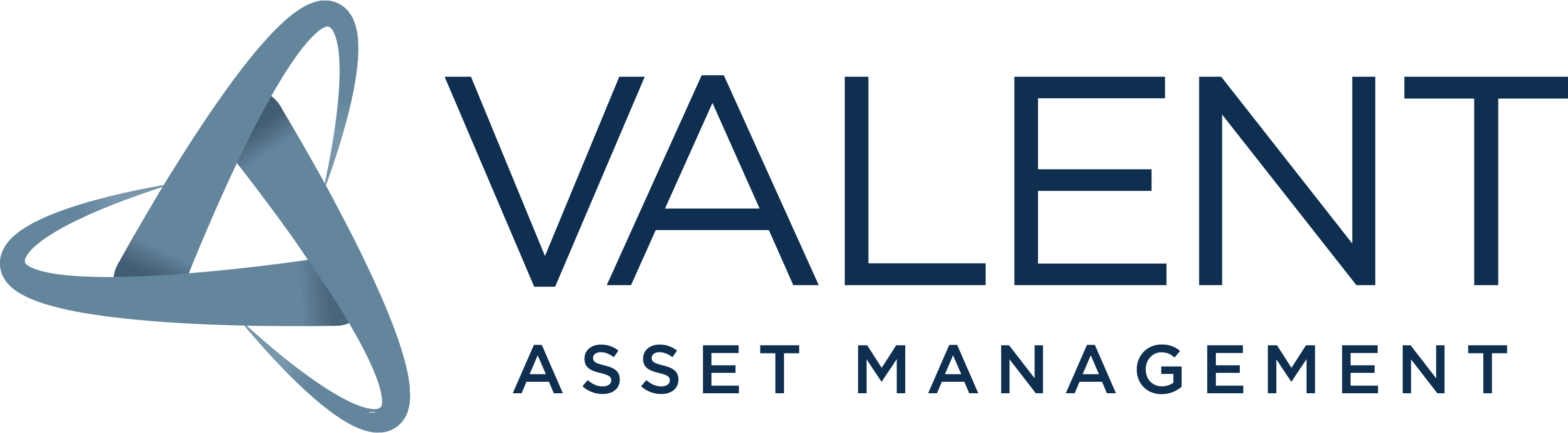 Valent logo_600ppg transparent (2).png