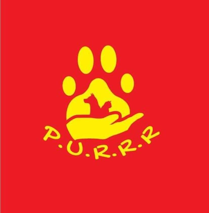 https://m.facebook.com/Rescuesanctuary98/